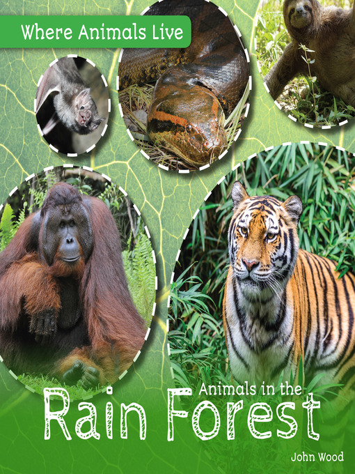 Upplýsingar um Animals in the Rain Forest eftir John Wood - Biðlisti